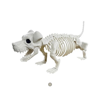 Plastic Dog Skeleton