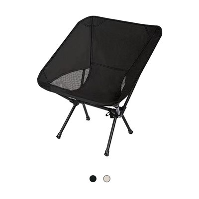 Portable Picnic Chair